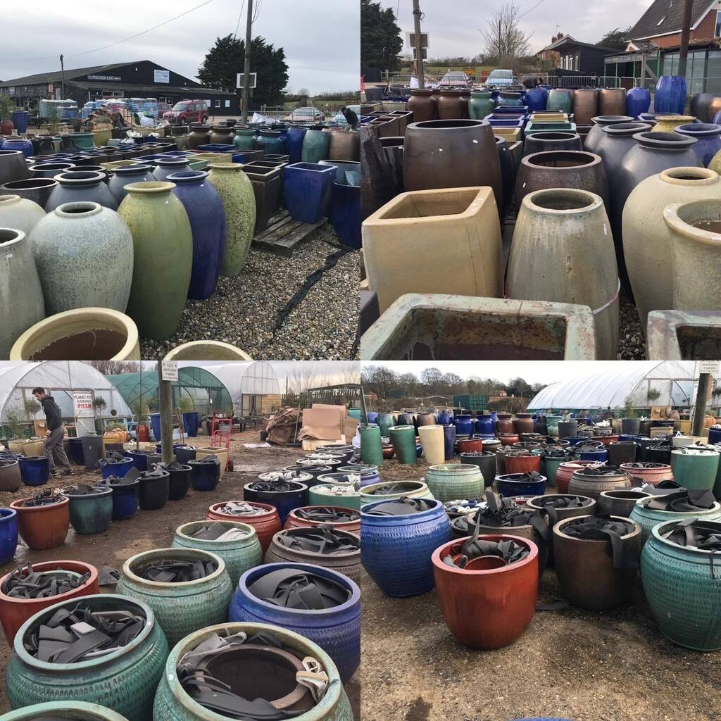 Exoticgardenco's tweet photo. Pot have landed at #PlanetPot busy days unpacking & pricing. Inquiries contact Sam mobile 07772180696. #Aldeburgh, #Dunwich, #Southwold, #Halesworth, #Saxmundham, #Framlingham, #Snape, #Woodbridge, #Ipswich, #Felixstowe, #BuryStEdmunds, #Colchester, #Cam⦠https://t.co/buthvxoxR7 https://t.co/eugYh6qoAc