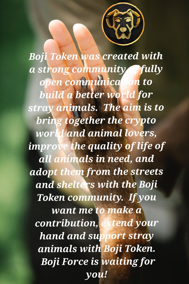GezenTerlik's tweet photo. @BojiToken Bojiiii 🔥🔥🚀🚀🚀 #$BOJI #Bojitoken #100x #1000x #BojiForce https://t.co/xcspXDnVPV