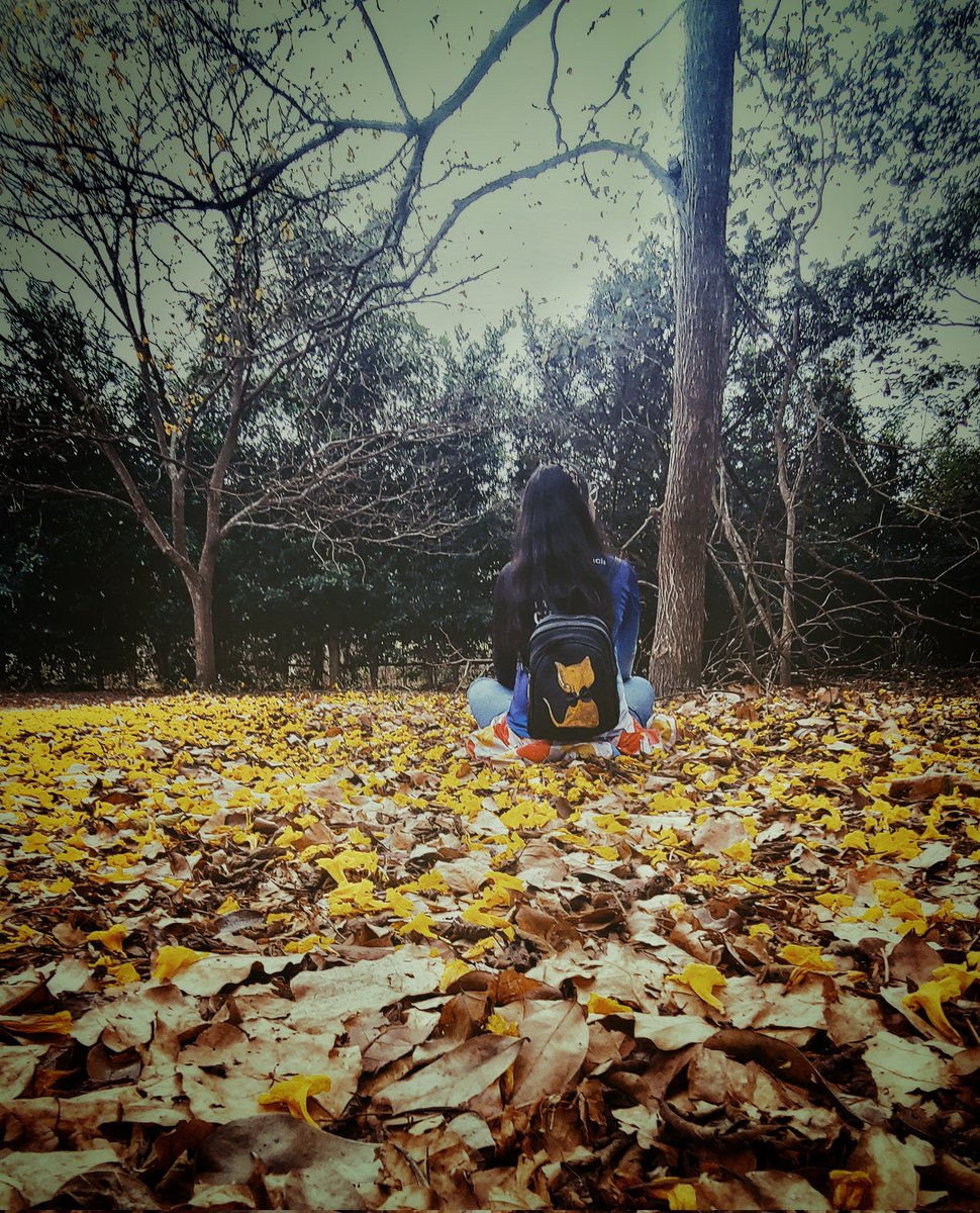 Rebeca Figueredo tweet media