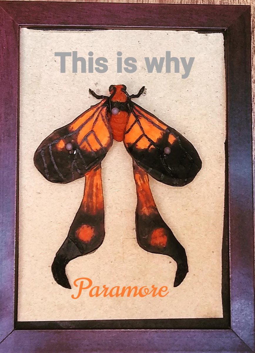 sevencris1's tweet photo. Paramore - This is why
Moth inspired by Brand New Eyes.
The type of moth is called Semioptila, I chose it because of the color of Hayley's hair.
(it is not real, it is a recreation in cold porcelain)
#paramore #paramorethisiswhy #paramoreart #paramorefanart #paramorebrandneweyes https://t.co/brSBPL35fF