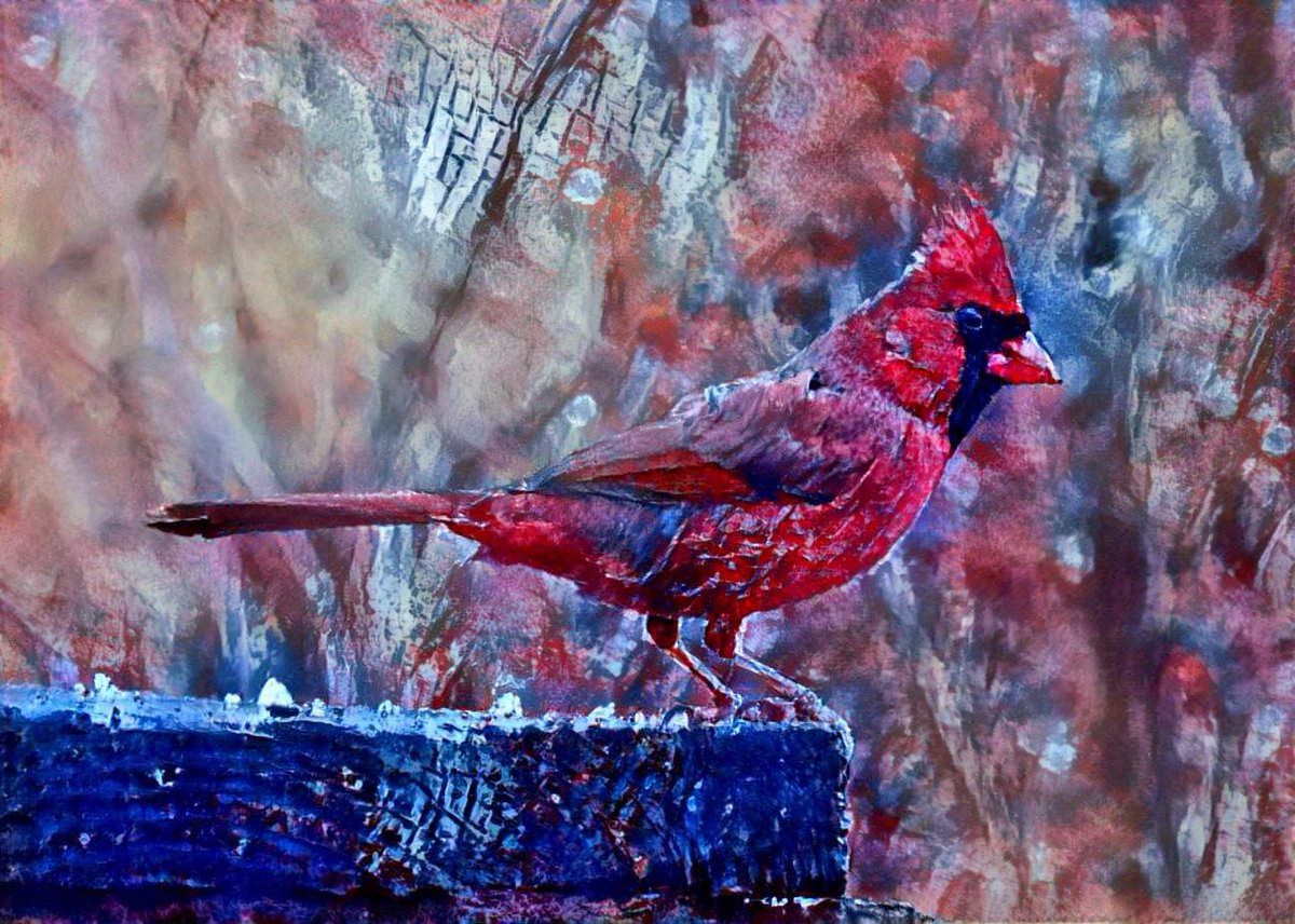 PapaBeardedNFTs's tweet photo. Time for another #PBSundayShowcase!
Today the RNG picked a throwback: "Judy Cardinal" a collab with the amazing @jlindsayfilm
Just relisted 2 eds split between us at 6 $XTZ for 24 hrs
ππ https://t.co/GjaMB9XJ3O