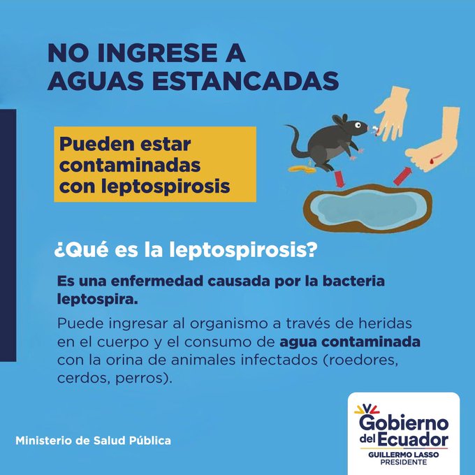 Casos de leptospirosis incrementan en el Ecuador por las lluvias