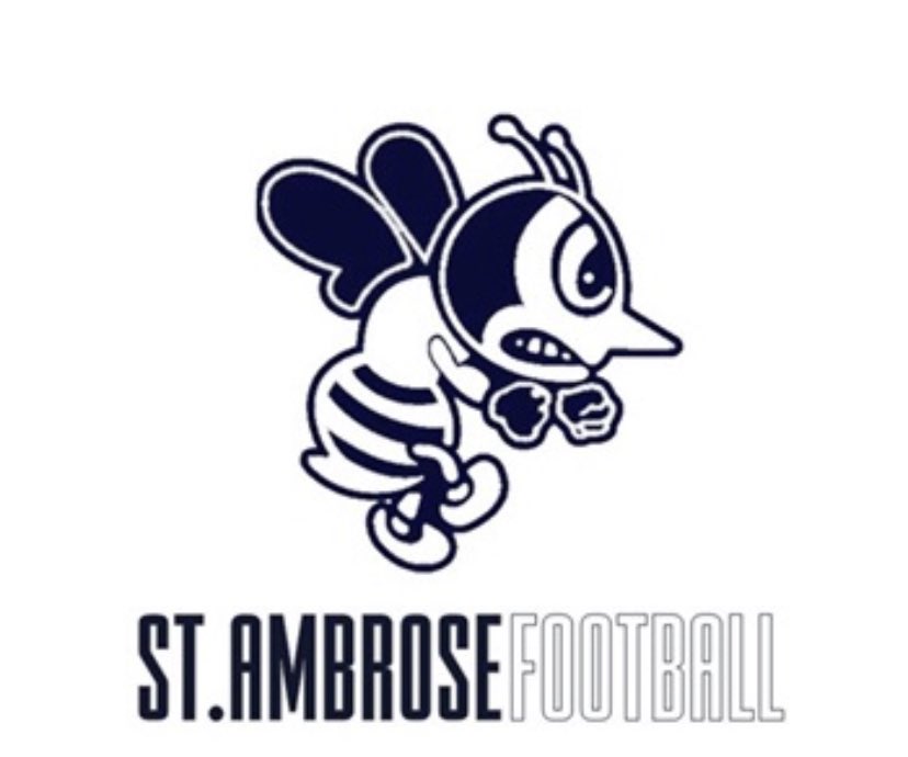 CooperStarks28's tweet photo. i would like to thank @FightingBeesFB  for my first official offer to play at the next level .                                     @coachhardcastle https://t.co/5IIeFPwYeD