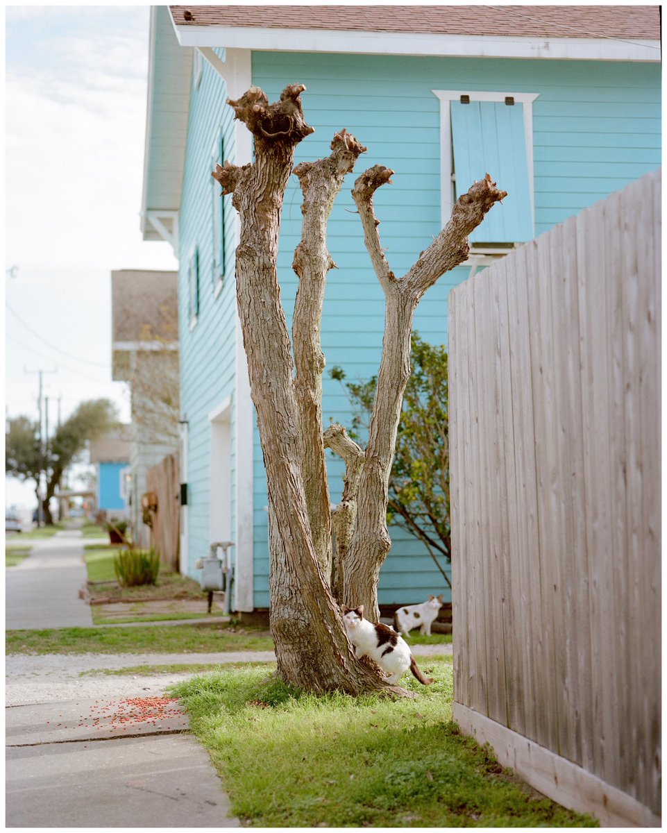 jevnnette's tweet photo. Galveston moments on 120 film 🎞️ https://t.co/4EGJS6BNWk