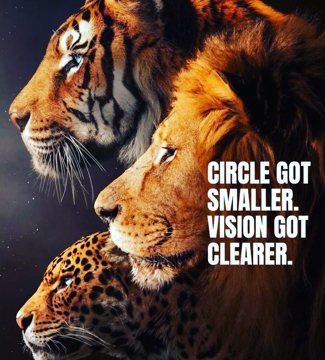 theufosecret's tweet photo. #watchyourself #watchyourcircle #smallcircle #life #wakeup #spirituality #nonegativity #nocomplaining #positivevibes #positivepeopleonly #nonegativityallowed #theufosecret https://t.co/n97wJnkYgo