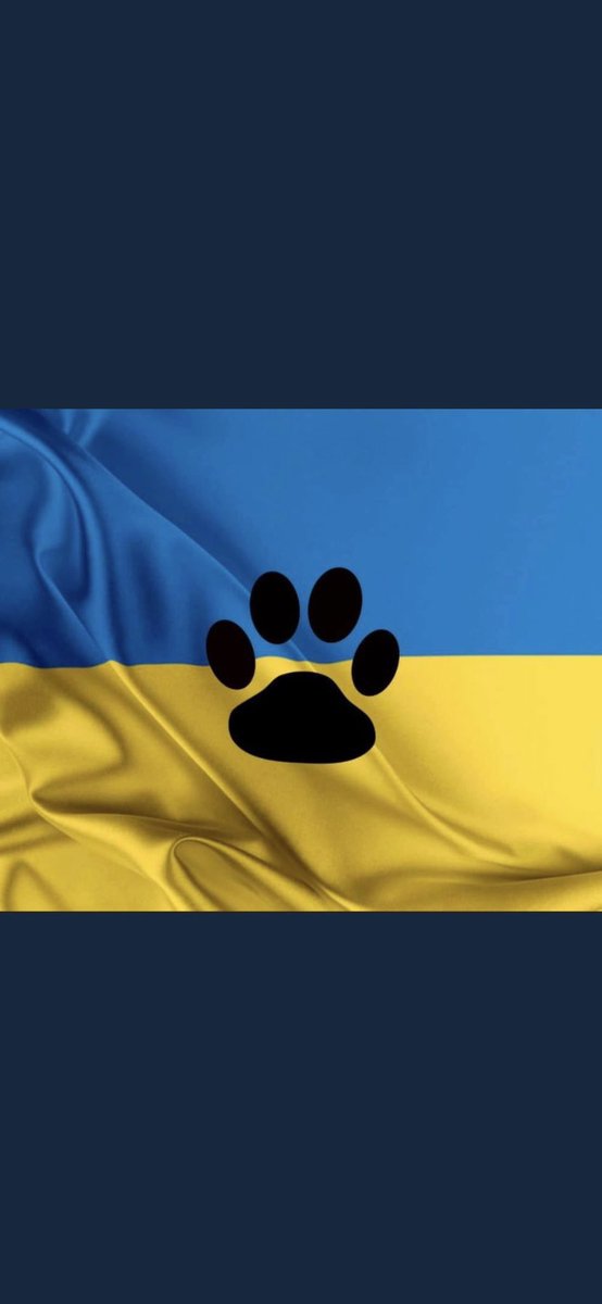 JLHerms's tweet photo. Patrick, Thank you for your service! 👏🏻🇺🇦💙💛
#AnimalRescue #Ukraine #DogsForUkraine #CatsForUkraine #SlavaUkraïni #SundayThoughts https://t.co/rULRm9ZQdl