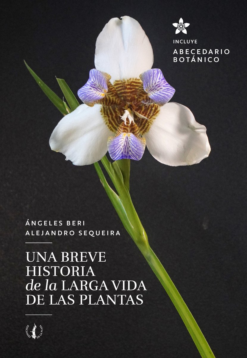 cienciaabierta's tweet photo. Ángeles Beri y @alesequeira nos reverdecen el interés por las plantas y su fascinante evolución. Un libro de Ediciones de la Plaza que en los próximos días estará en las librerías de todo el país. https://t.co/h8udB9PHHy