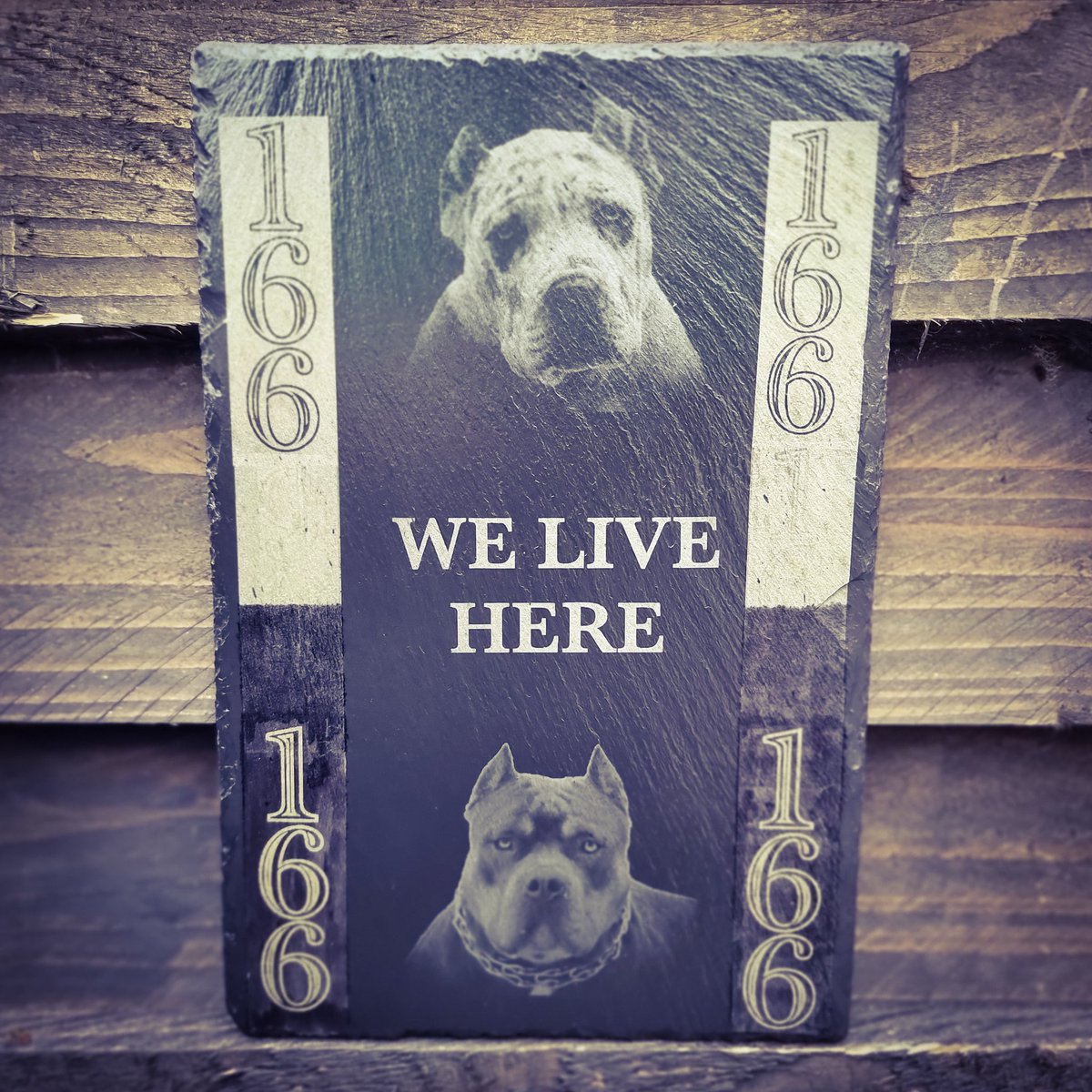 ARC Laser tweet media