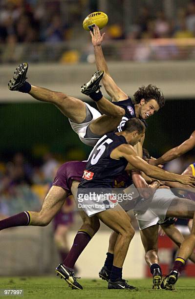 _red_wood's tweet photo. Kris Massie days till the Blues are back #footycountdown https://t.co/jyUoZL1kfI
