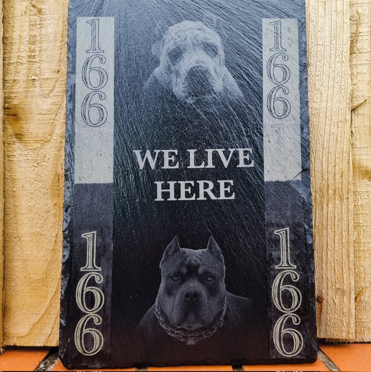 ARC Laser tweet media