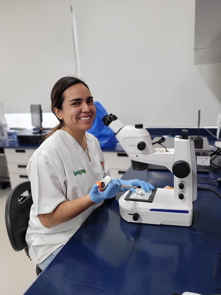 Eliab Estrada tweet media