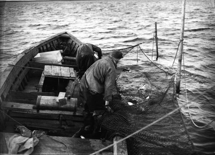 N. American Assoc. of Fisheries Economics & Trade tweet media