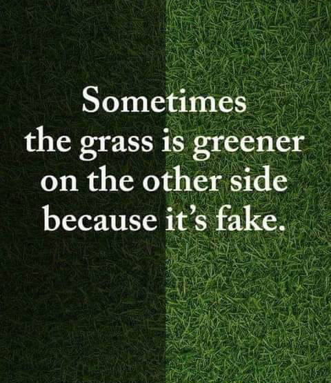 'Sometimes the grass is greener on the other side because it's fake.' - Unknown