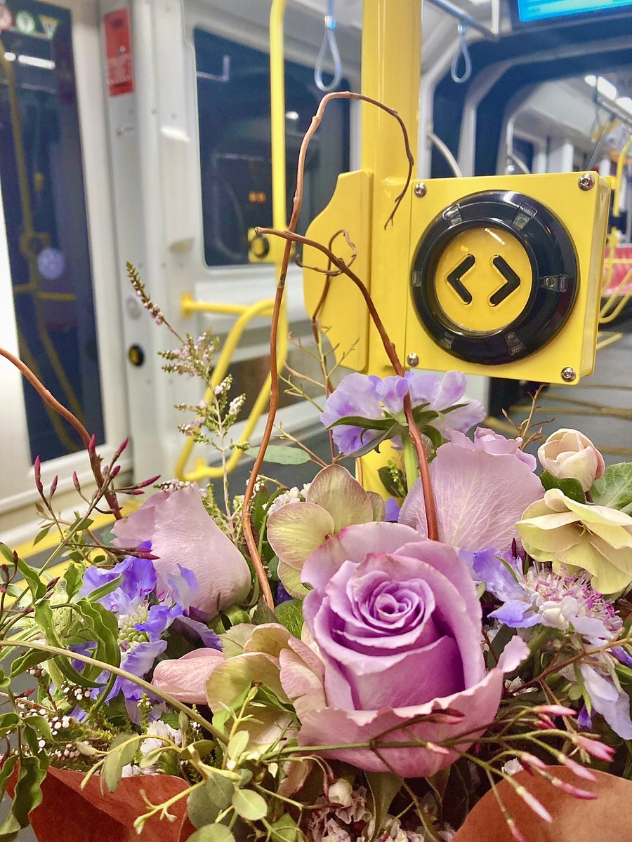 Springtime on Muni 💐
