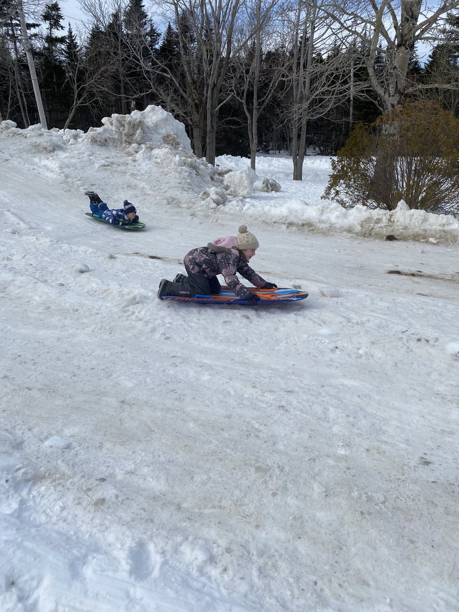 Ms. Healey tweet media