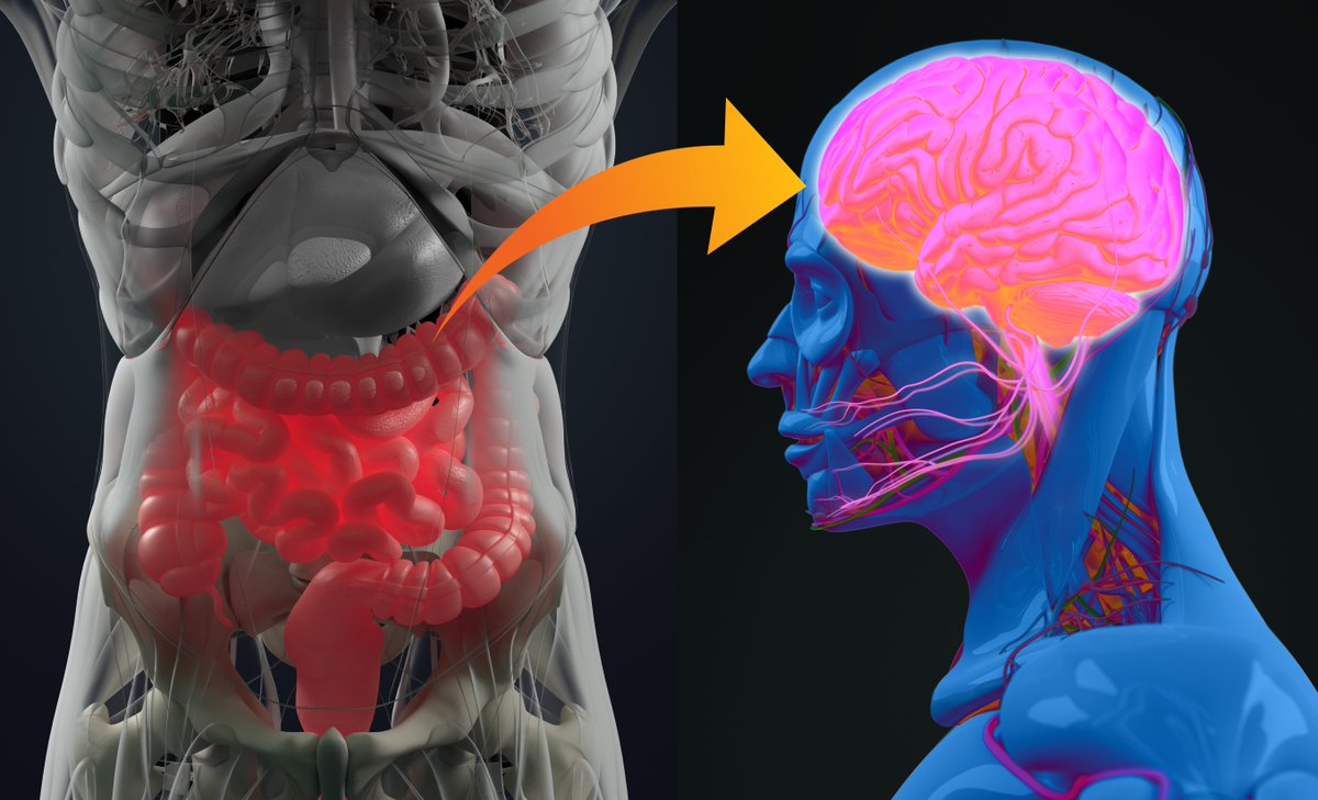 Today marks the beginning of #BrainAwarenessWeek, a time to raise awareness for brain diseases, disorders and injuries. Dr Andrew Shoubridge is doing just that, leading a new project to discover how gut health can impact our risk of dementia. 

More ➡ sahmri.au/DementiaProject