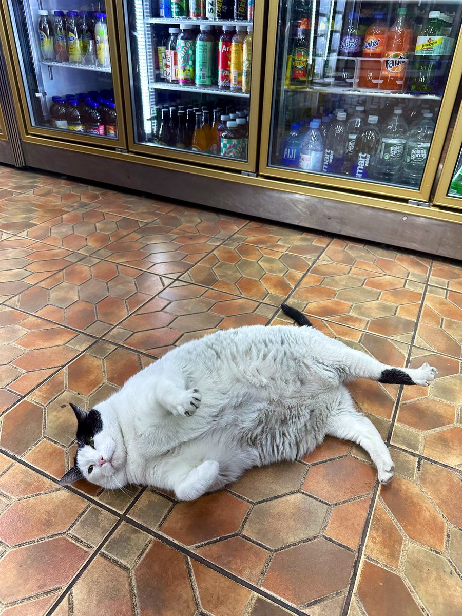 📷 <a href="/mikkobiana/">Mikko</a>