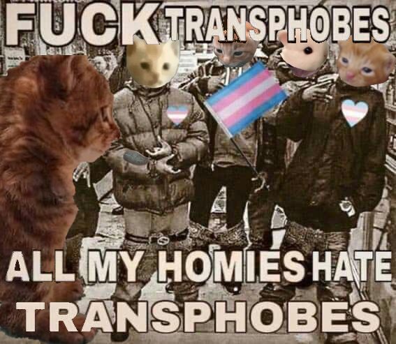 <a href="/RespectfulMemes/">Respectful Memes</a> nao ironicamente