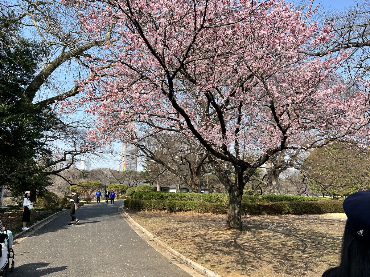 Scott Carr tweet media