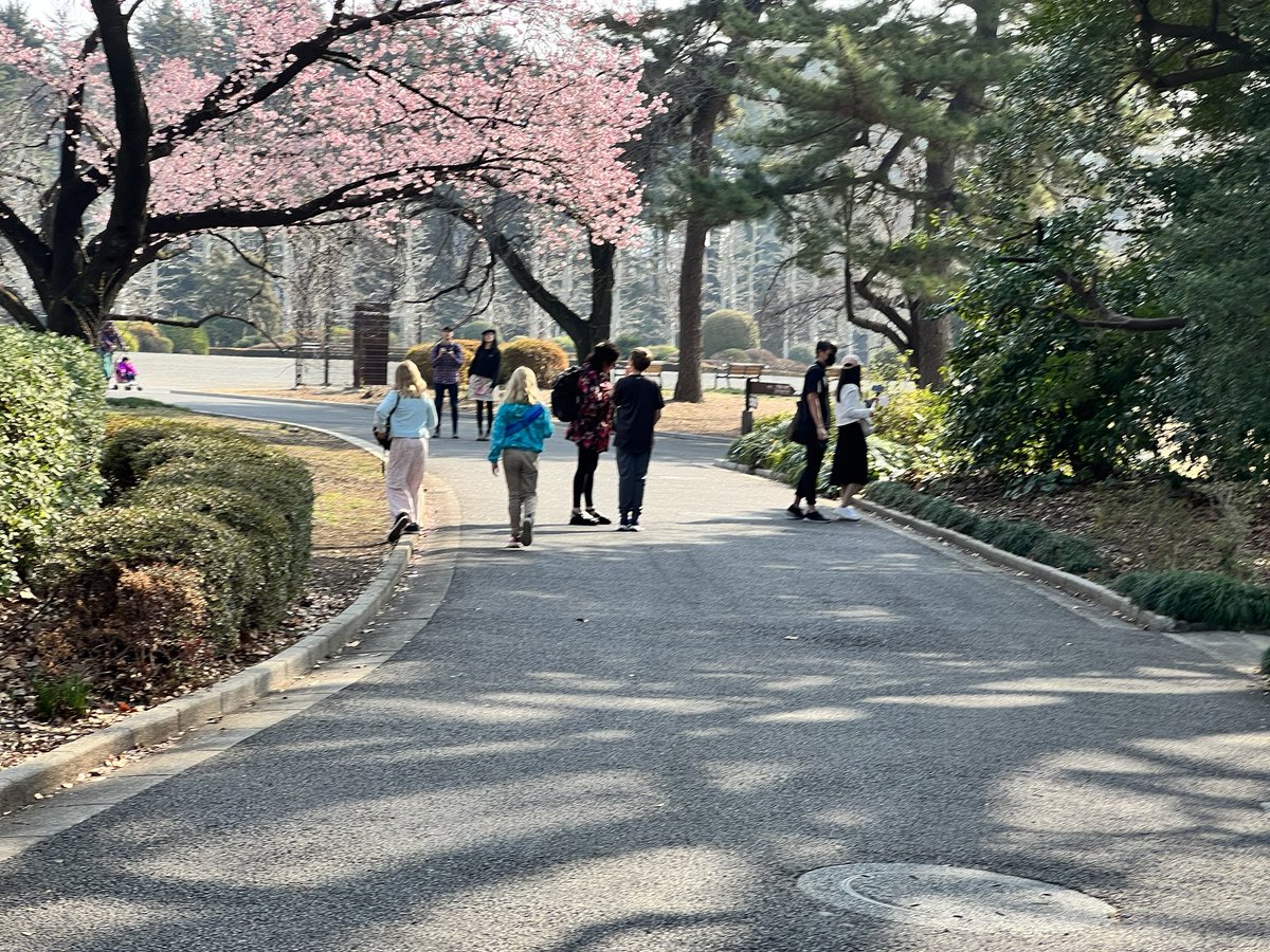 Scott Carr tweet media