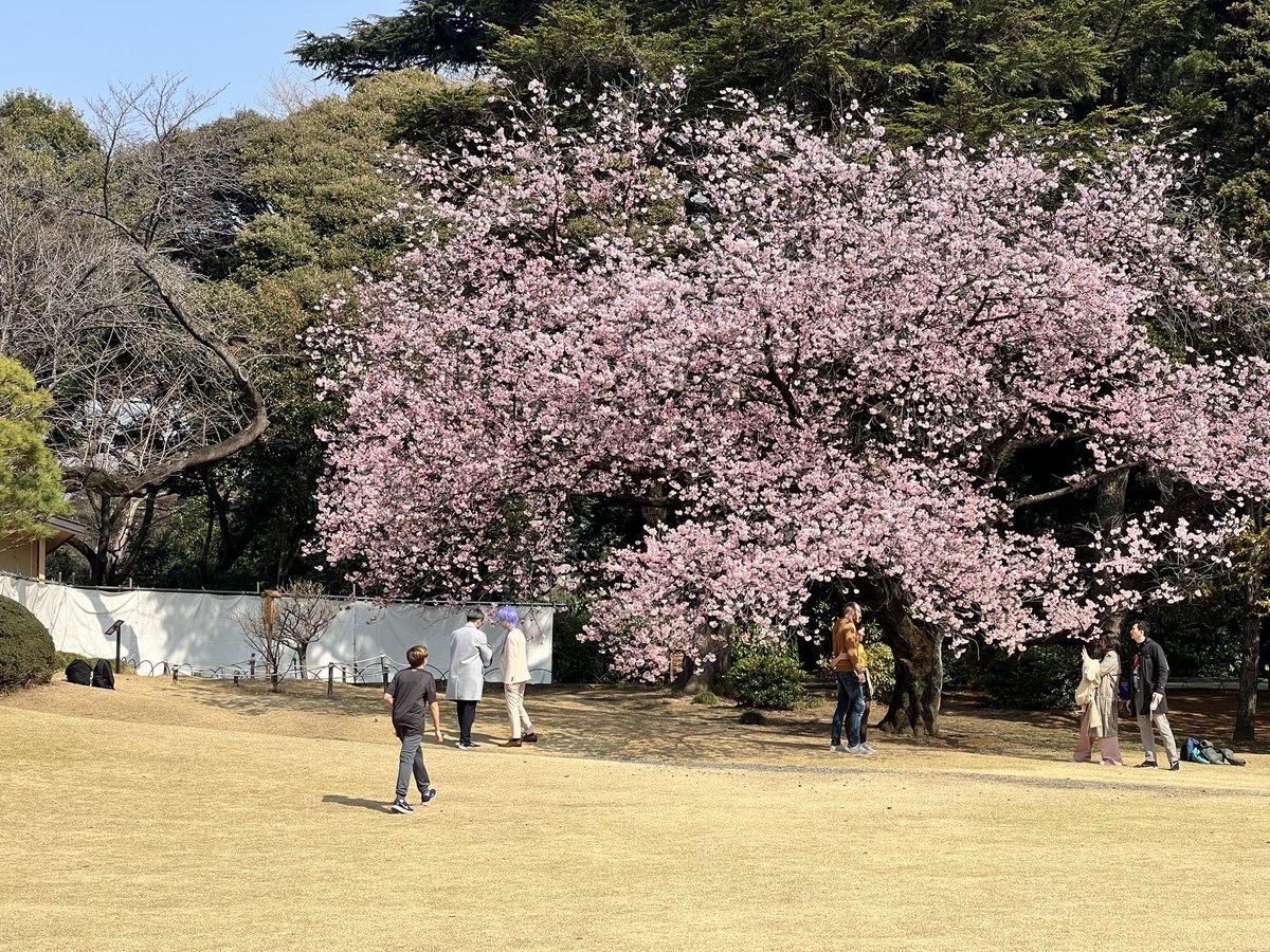 Scott Carr tweet media