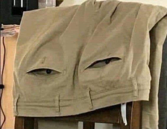 My pants just reminded me that Melania Trump was the absolute worst First Lady in history.