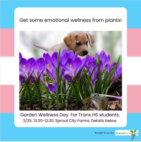 TransEducators's tweet image. Denver area trans high school students!

Come make connections with other trans high school students as we reap the benefits of hanging out with soil, seeds, and plants!

March 25th 2023
10:30-12:30
Sprout City Farms
Free
Pizza and snacks provided

RSVP: docs.google.com/forms/d/e/1FAI…