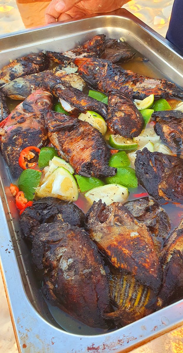 utotelic's tweet photo. 1. Boiled kabatia or kawakawa w miti and ota; vudi vakasoso on the side.
2. Ika kokoda w miti
3. Ika tavu w waitonitoni like this 👇🏾 🥹🫶🏽 https://t.co/uDpa4sLeHF