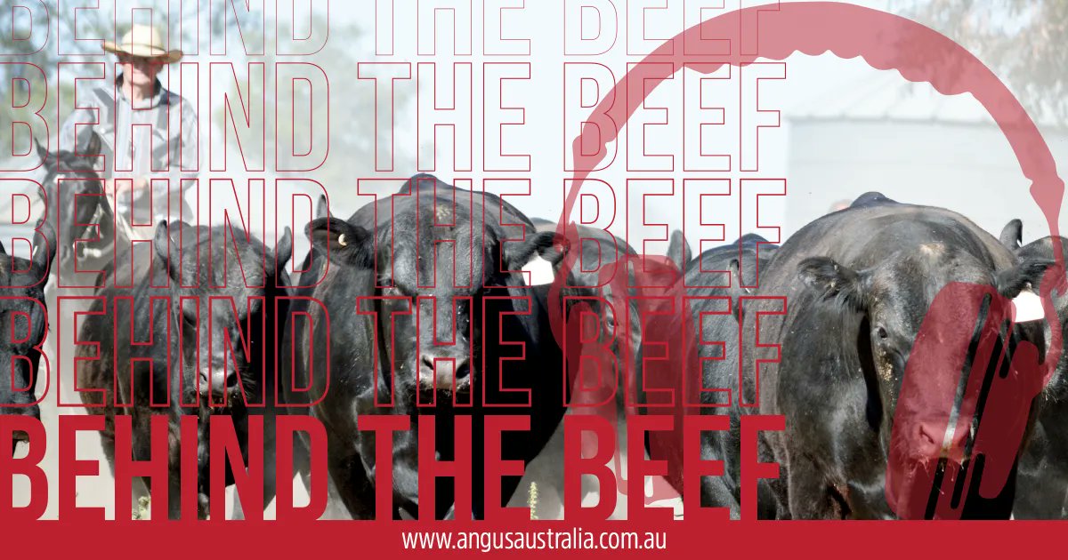 In the latest episode of Behind the Beef we will be joined by Milly Nolan and Cam Parker, who through their roles in the industry are working to make change in terms of bettering and sustaining the industry in different ways.  Listen here 👇 
buff.ly/3JbrpdV