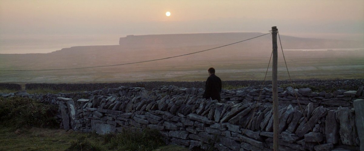 TheCinesthetic's tweet photo. The Banshees Of Inisherin (2022) dir. Martin McDonagh
https://t.co/wJONZ4eqBI