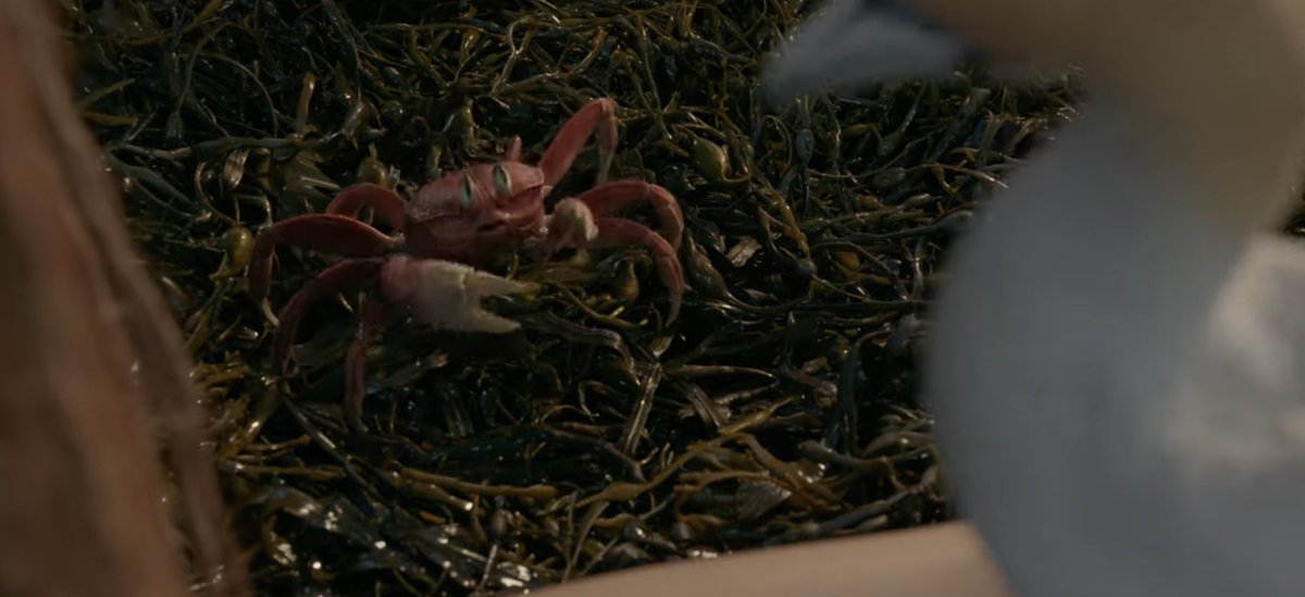 First look at Sebastian in #TheLittleMermaid