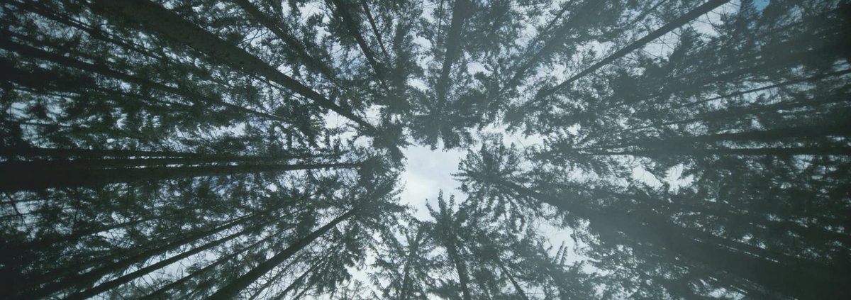 CinemaTweets1's tweet photo. All Quiet on the Western Front: Winner of the #Oscar for Best Cinematography https://t.co/ios9nqvQTP