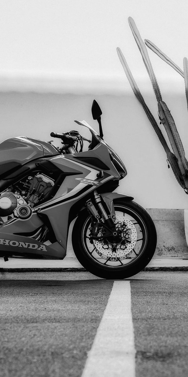 lauramrtnnn's tweet photo. @itsD3lay Mi futura motojajsjqjaja https://t.co/UaVQ6PlZL9