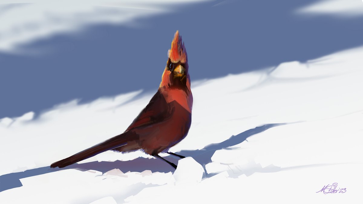 A Cardinal in the snow!

#dailyart #sketchdaily #enviromentalart #snow #cardinal #corvid #birdwatchimg #birding #wilflifeart #creaturedesign #digitalpainting #digitalart