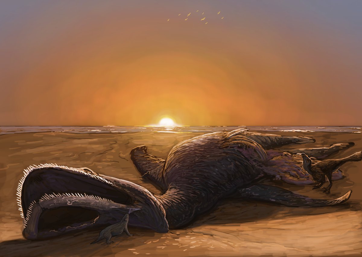 Todays stream was about the ecological impact of animals. Starting with Opisthocoelicaudia plaughing channels through a wetland, Secernosaurus nesting colony on a mangrove forest, Titanites mass spawning and a beached Aristonectes being food for a lot of animals.