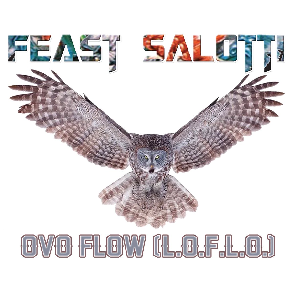 Ovo Flow (L.O.F.L.O.) youtu.be/CDo5Pu377ew via @YouTube
#greatgreyowl #greyowl #greatgrayowl #grayowl #errol #strixnebulosa