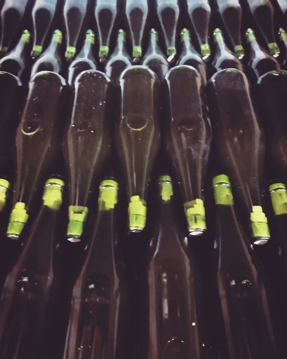 zidernaut's tweet photo. Iada botilean dago 2022ko utza.
ELETXE BI! Urtebi&Gezamin
.
.
.
#eletxe #bi #familia #bedaio #basherria #zabala #agirrezabala #artisausagardoa #craftcider #sagardoareniraultza #gustora https://t.co/ODbB0CPfCP