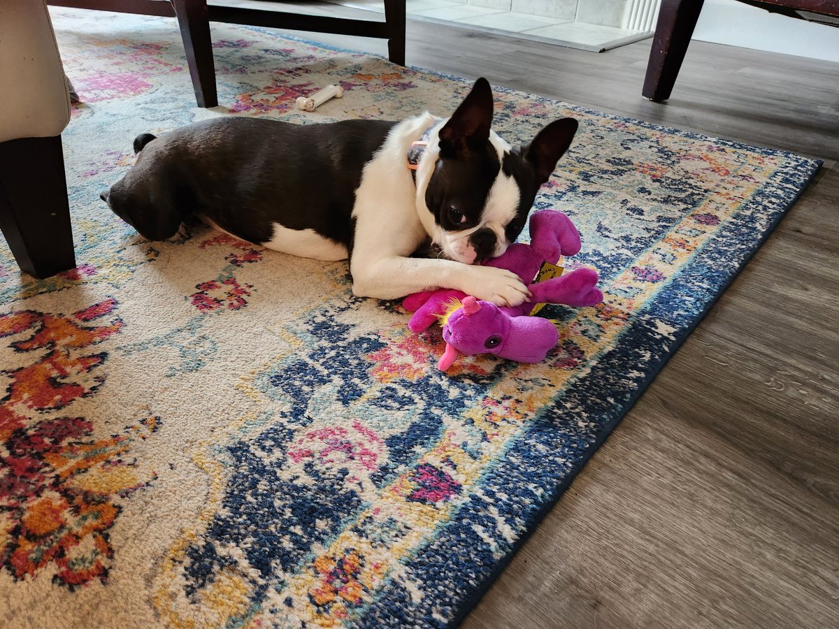 Nichole Talbot tweet media