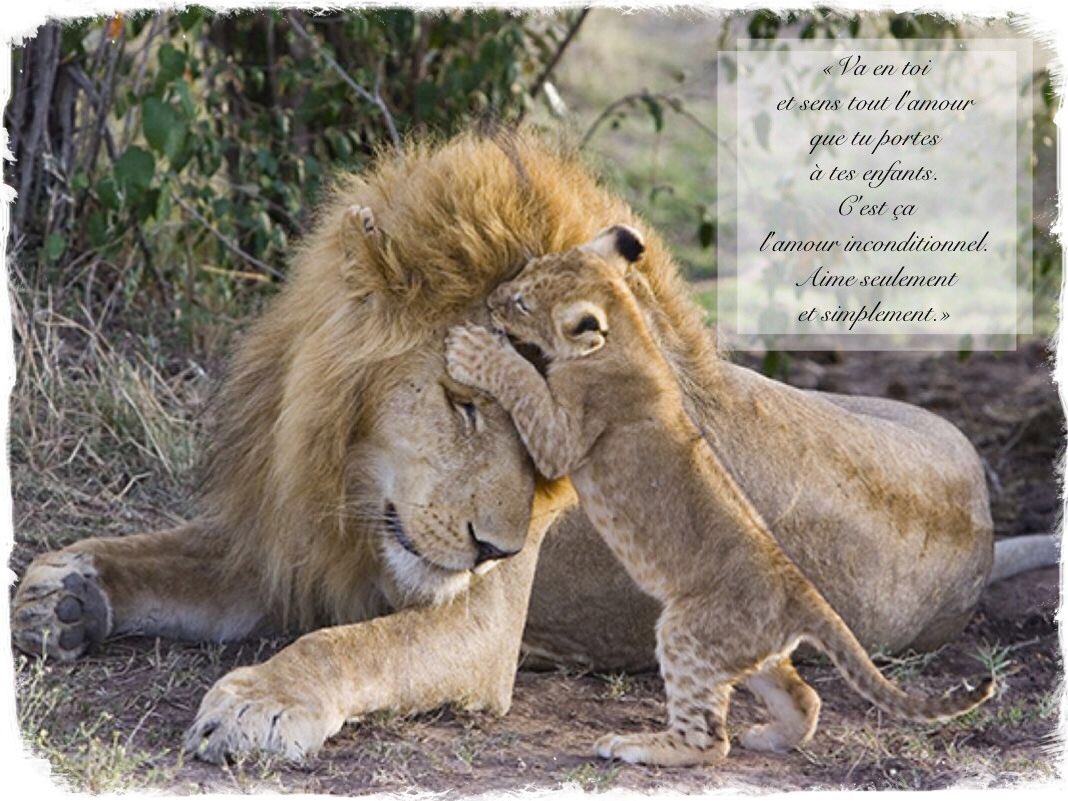 colombinepier's tweet image. Y’a que ça de vrai dans la vie.🥰💕#MaFamilleMesAmours #Bénédiction🙏🏻💕 #LEssentielDeLaVie #LaSincérité #LAmourAbsolu #PlusFortQueTout #Éternel 
#ligue_des_optimistes