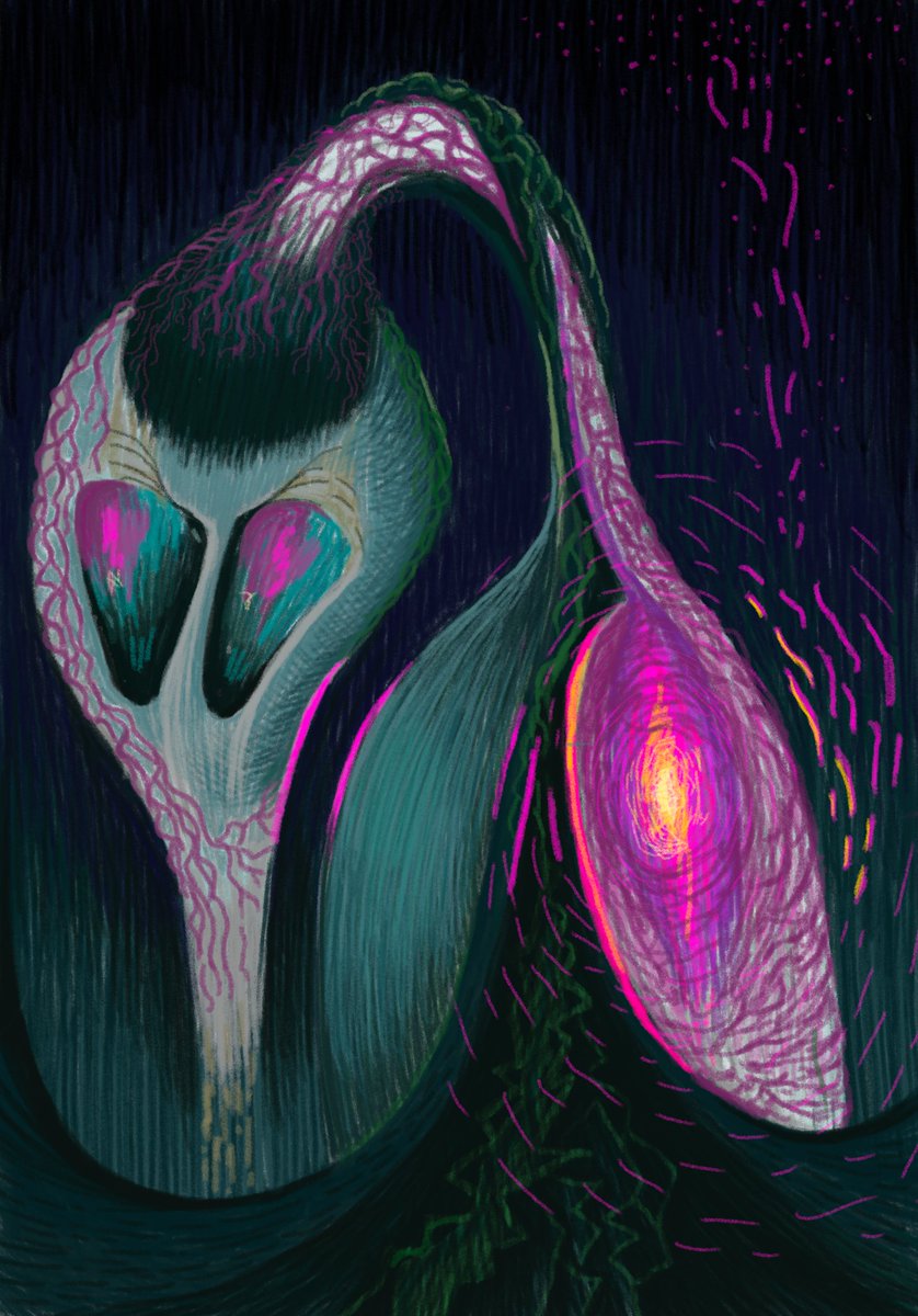 Auslanderina tweet media