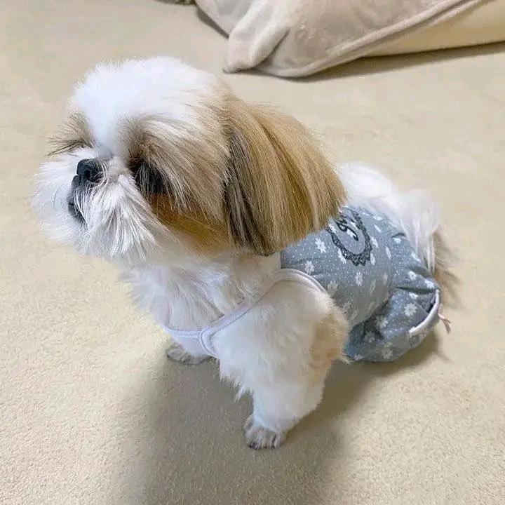 Mokom MlTA (@mltamokom) on Twitter photo 