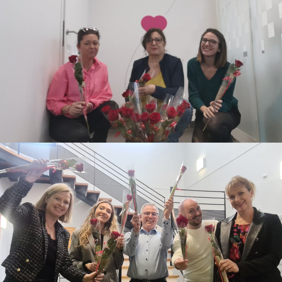 CCM GUIP COAT tweet media