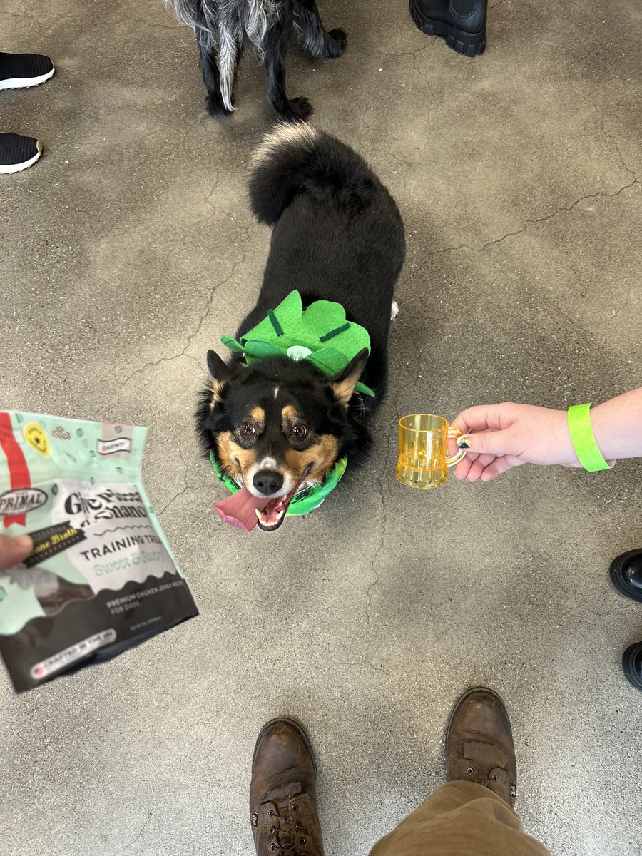 Merlin won the milk drinking competition at @HealthySpot’s party today!!!