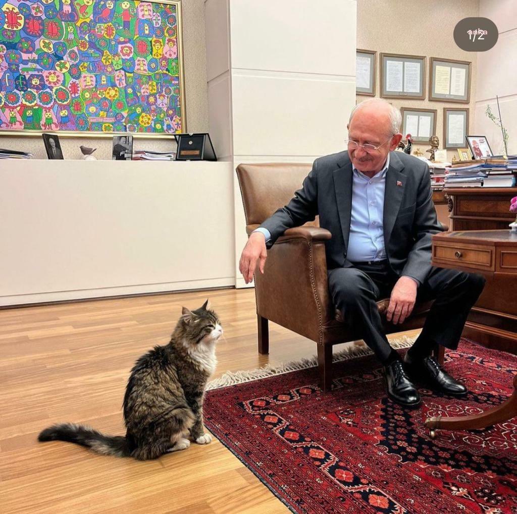 Musaozsoy's tweet photo. 13. Cumhurbaşkanı adayı Kemal Kılıçdaroğlu “İktidara gelince yaş mamayı lüks olmaktan çıkaracağım” demiş.
Bugüne kadar çok kez çağrı yaptık, duyulmadı. Bu konuda ilk iş olarak evcil hayvan mamalarında %18 KDV oranı diğer temel gıdalardaki gibi %1’e düşürülmelidir.
@kilicdarogluk https://t.co/SEycRPM5FD