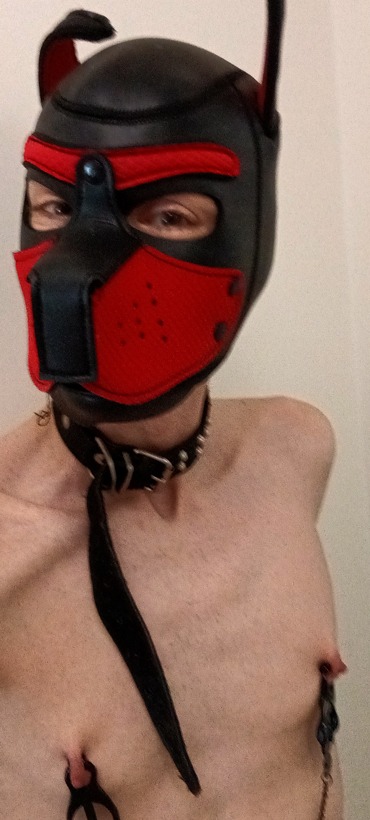 MasterNico95's tweet photo. Très mignon chiot très obéissant et fidèle depuis bien longtemps
@MasterNico95
@HardGaySexSlave
#puppy #pup #pupslave #pethuman #pupgay #tits #puppygay #gaysexe #slavegay #dog #fetishpup #fetish https://t.co/goLtFsq76W