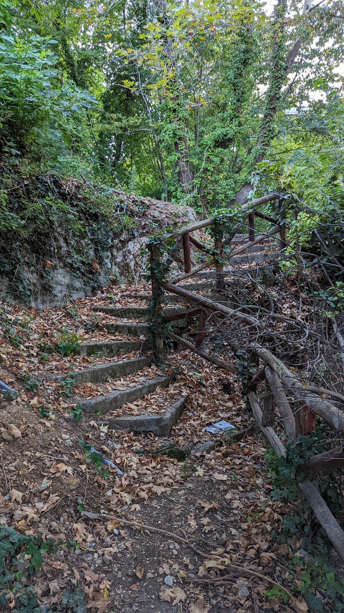 #Leafs #wooden #stairs #nature #greece #photography #amateurphotography
