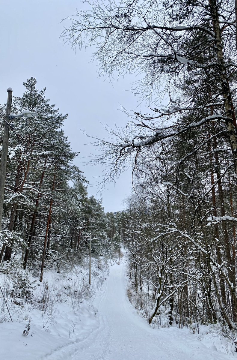 Eva Olsen Photography tweet media