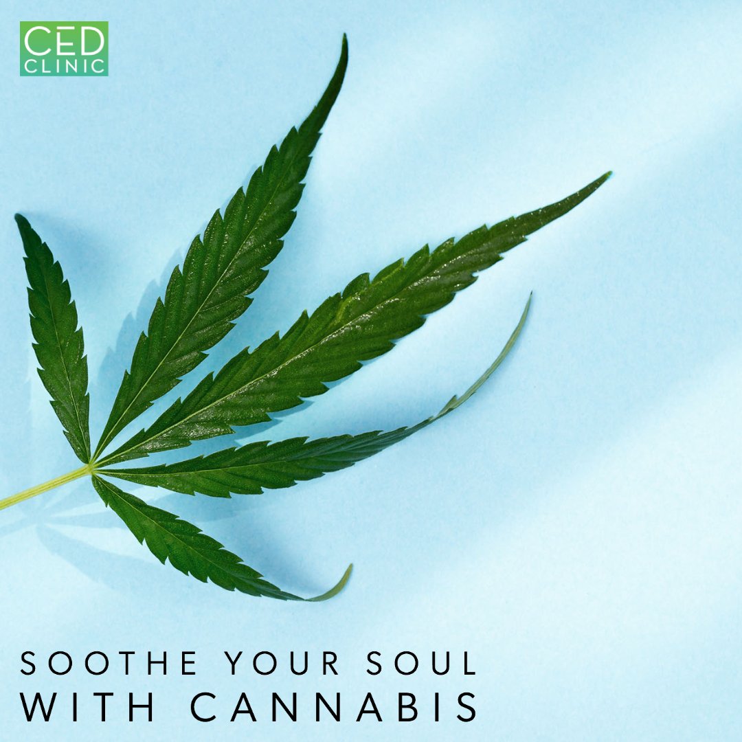 How does cannabis soothe your soul? In what ways does it help you?

#cannabiscommunity #cannahealth #healthandhealing #cannabisnews #cannabisquote #cannabiswellness #medicalcannabis #cannabisdoctor