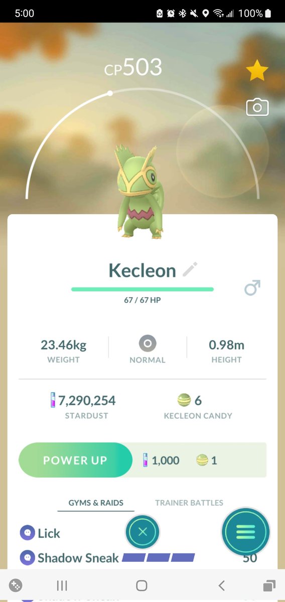 3Gentleman12's tweet photo. Finally caught a Kecleon https://t.co/HpMh9BZyAZ