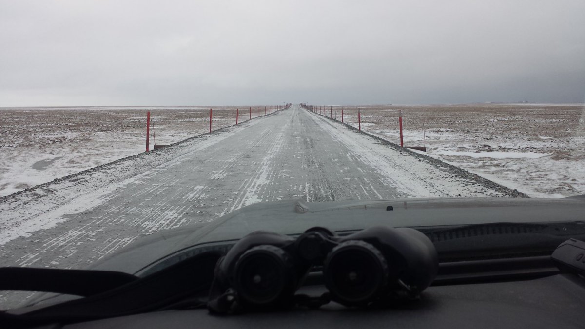 YowShib's tweet photo. @ECOWARRIORSS I would guess 90% of you folks have never been to the North Slope of Alaska? I can promise you it is not filled with wildlife! https://t.co/aTGHN51qGW